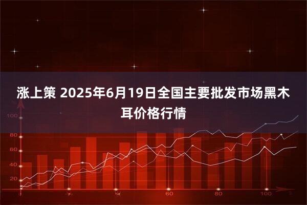 涨上策 2025年6月19日全国主要批发市场黑木耳价格行情