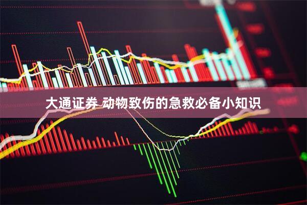 大通证券 动物致伤的急救必备小知识