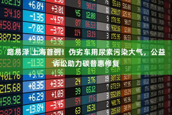 路易泽 上海首例！伪劣车用尿素污染大气，公益诉讼助力碳普惠修复